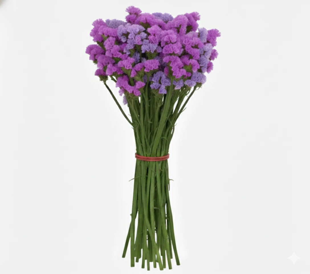morado